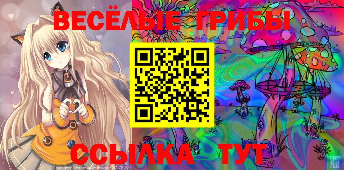 Арсеньев  Галлюциногенные грибы Cubensis  Вход с VPN 