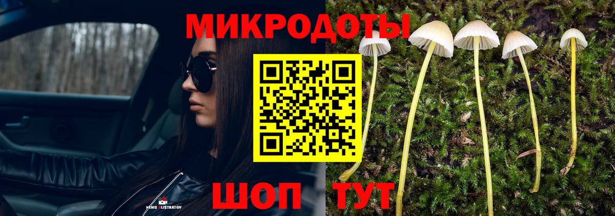 Псилоцибиновые грибы Psilocybine cubensis Арсеньев